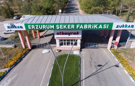 SUKKAR ŞEKER